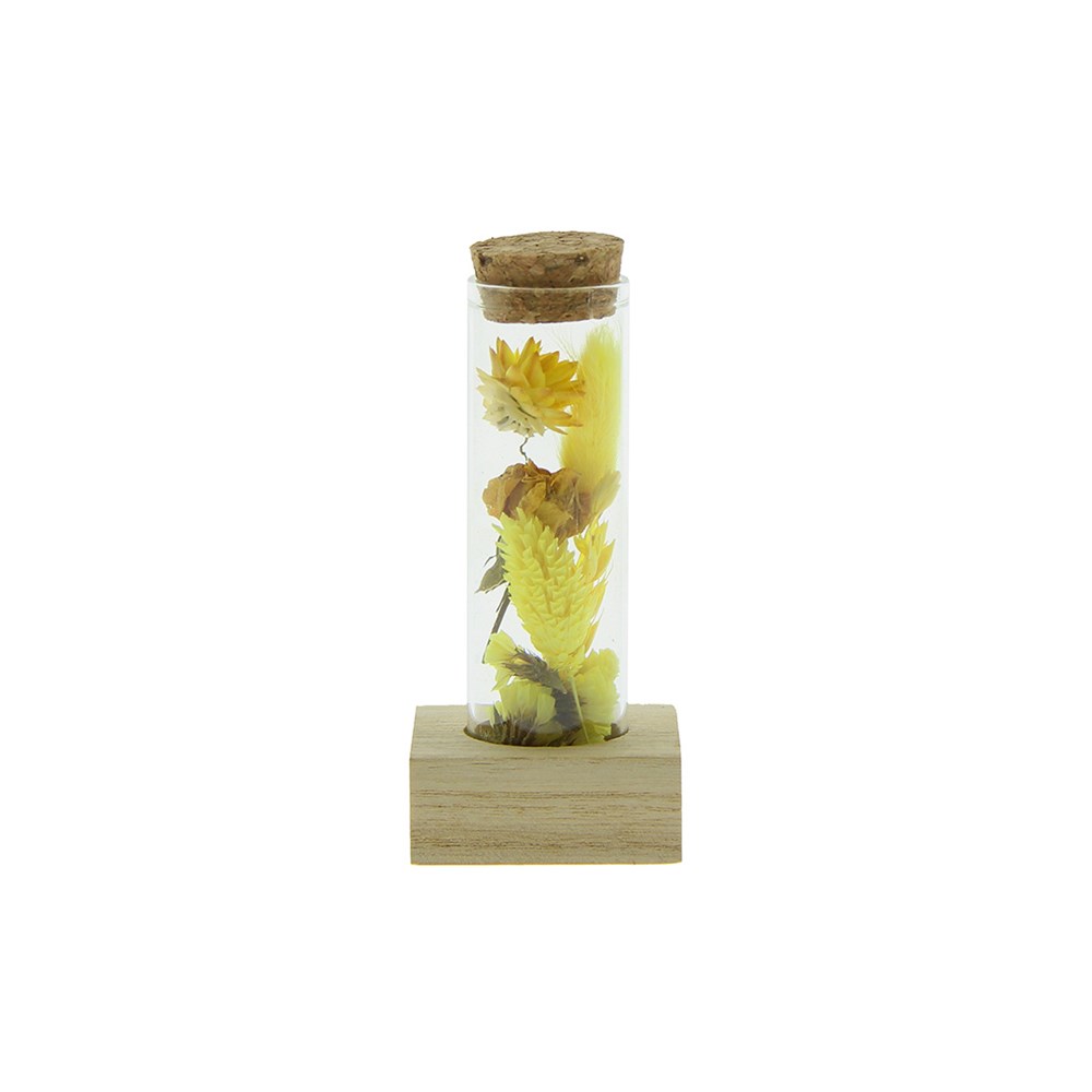 Dried Flowers - Single tube & wood - geel